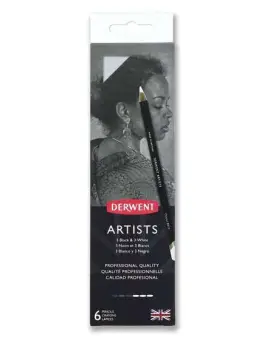 Artists pencil set of 6