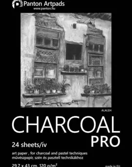 Charcoal Pro A/3 29,7x43cm