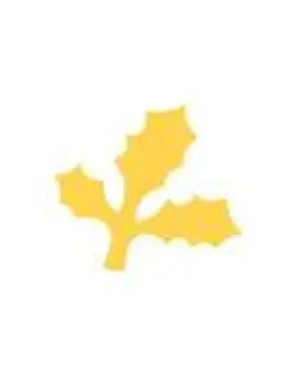 Formalyukasztó 2,5cm "magyal"