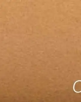 Ingres 130g Ochre