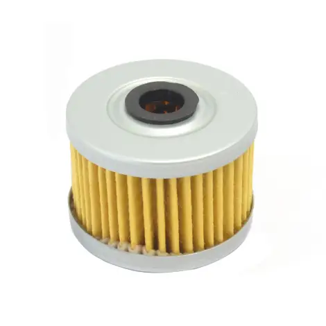 Filtro Olio a cartuc