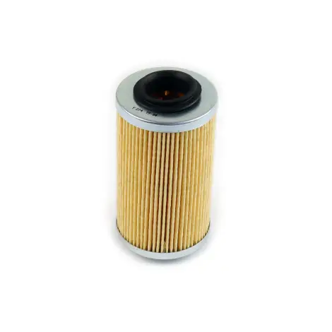 Filtro Olio a cartuc