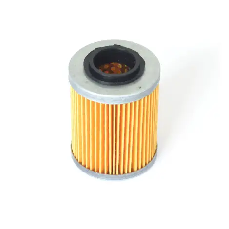 Filtro Olio a cartuc