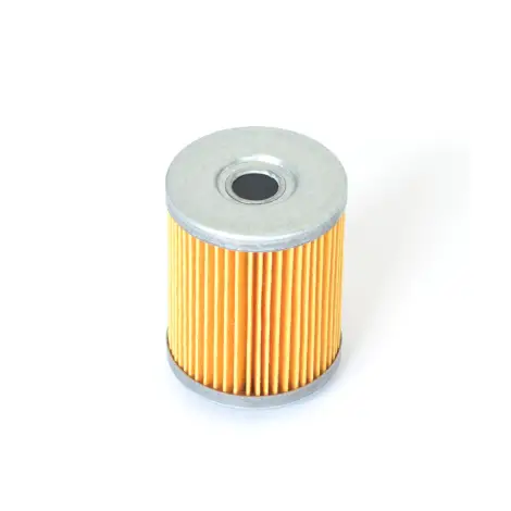 Filtro Olio a cartuc