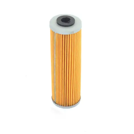 Filtro Olio a cartuc