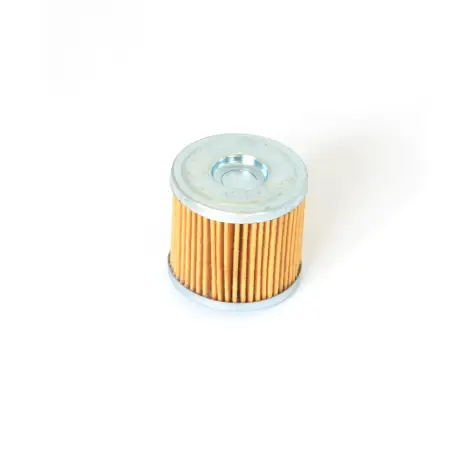 Filtro Olio a cartuc