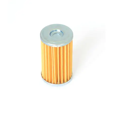 Filtro Olio a cartuc