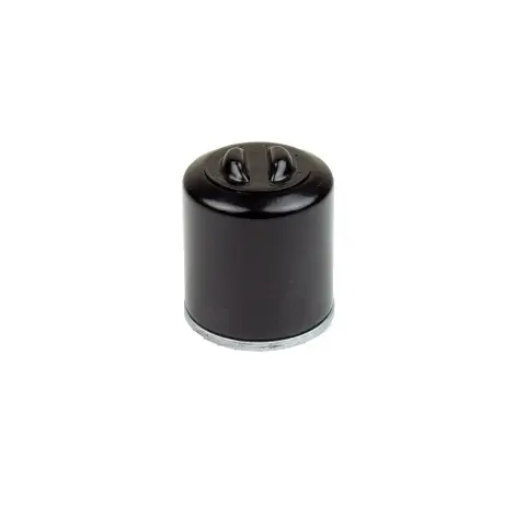 Filtro Olio avvitabi