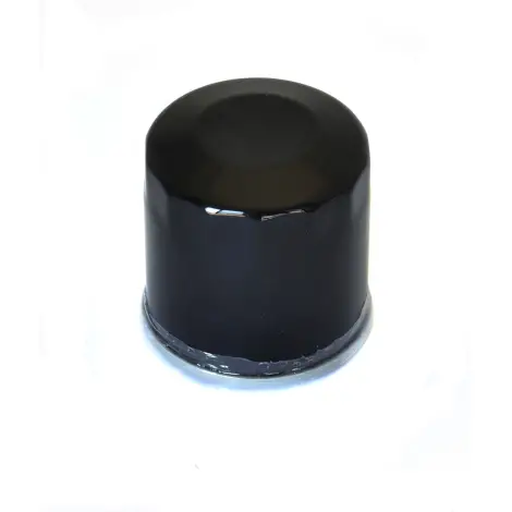Filtro Olio avvitabi