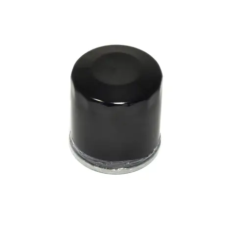 Filtro Olio avvitabi