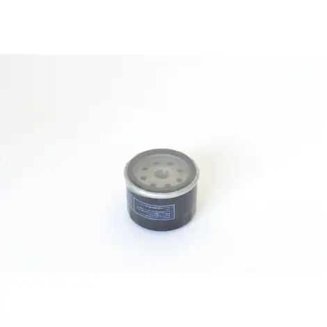 Filtro Olio avvitabi