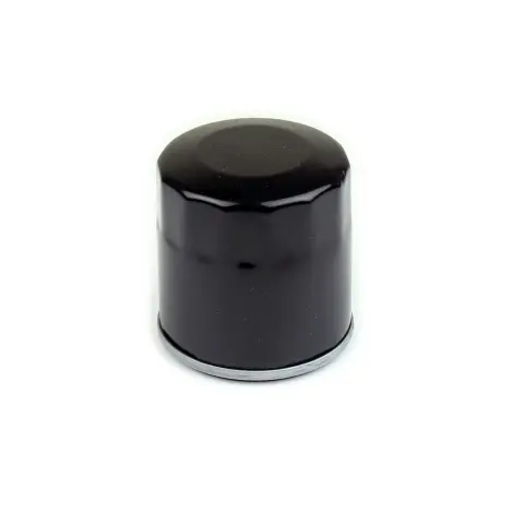 Filtro Olio avvitabi