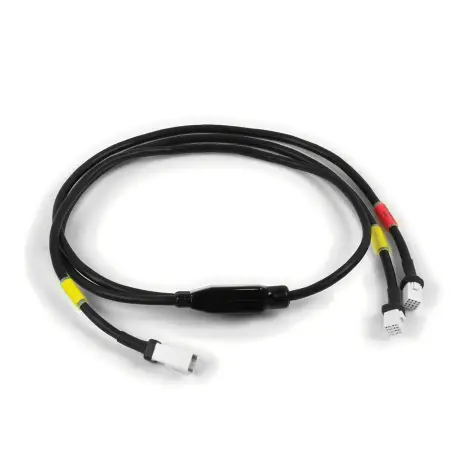 Cablaggio accessorio
