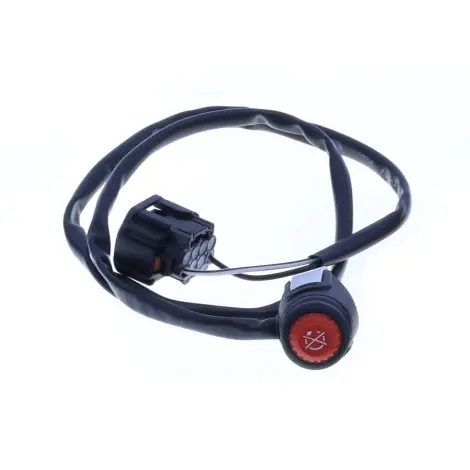 Tasto Kill Switch a
