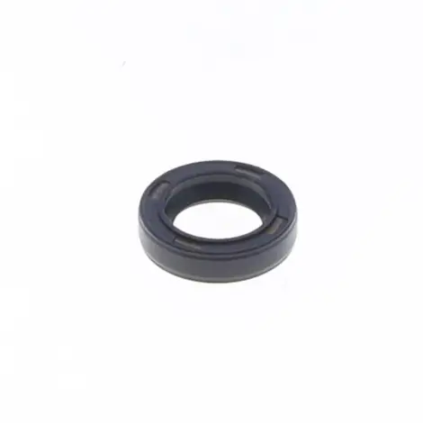 Paraolio 10x16x4 mm