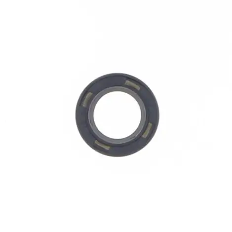 Paraolio 10x16x4 mm
