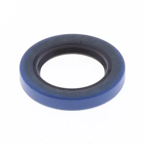 Paraolio con Esterno