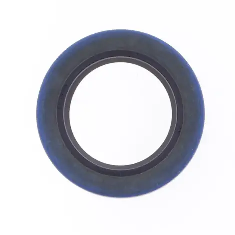 Paraolio con Esterno