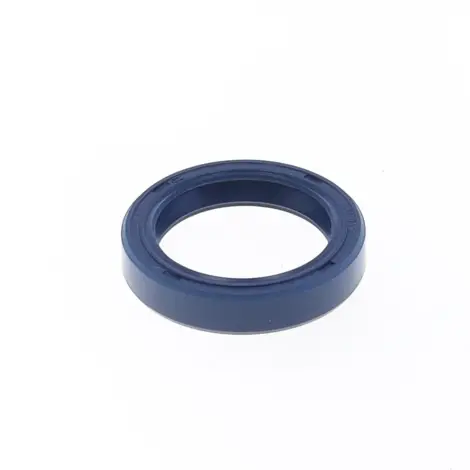 Paraolio con Esterno