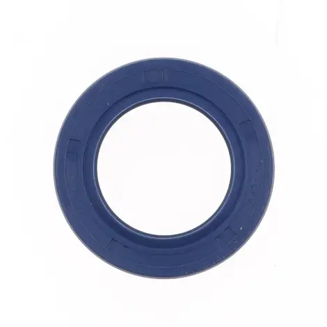 Paraolio con Esterno