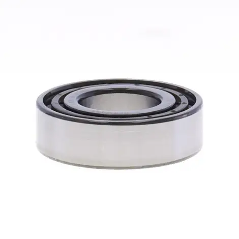 Bearing N205 ECP - S