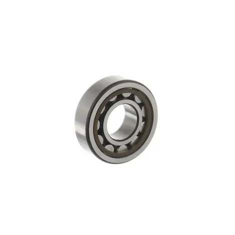 Bearing NJ 206 ECP/C