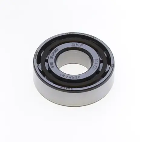 Bearing N204ECP - SK