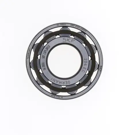Bearing N204ECP - SK