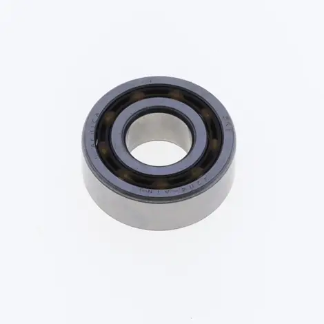 Bearing 4204 ATN9 -
