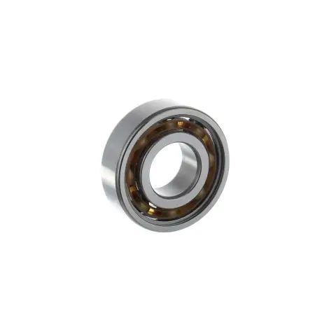 Cuscinetto 6005TN9/C