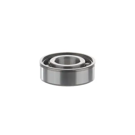Cuscinetto 6305TN9/C