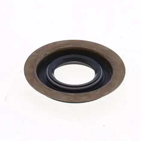 Paraolio con Esterno