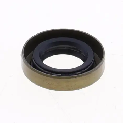 Paraolio con Esterno