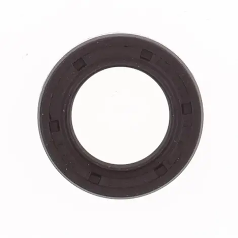 Paraolio con Esterno