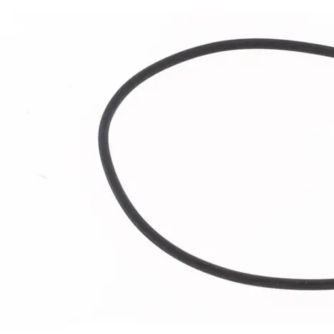 O-ring Testata Cilin