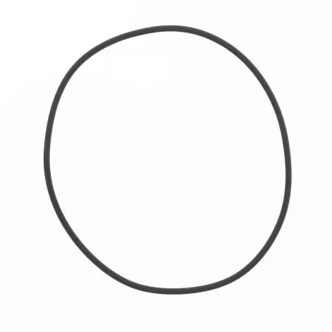 O-ring Testata Cilin