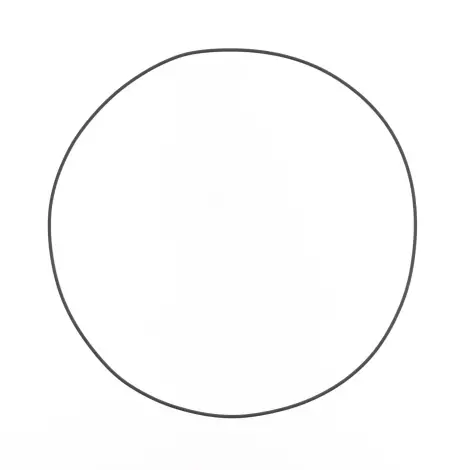 O-ring Lato Frizione
