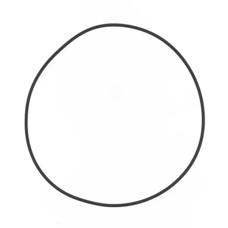 O-ring Testata Cilin