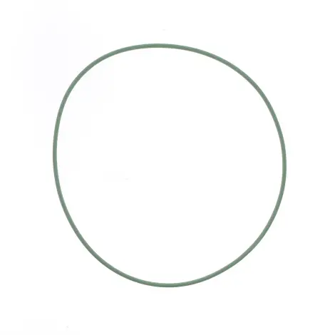 O-ring Testata Cilin