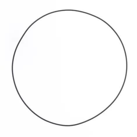 O-ring Lato Frizione