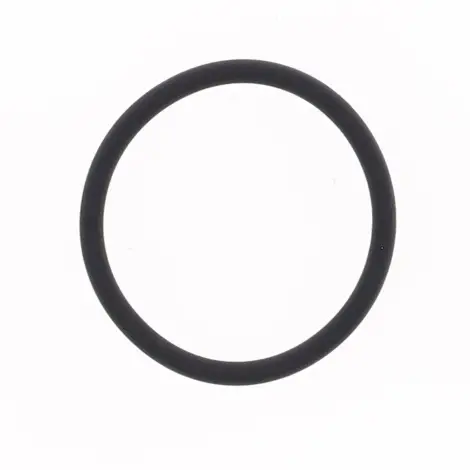 O-ring Scarico