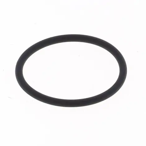 O-ring Scarico