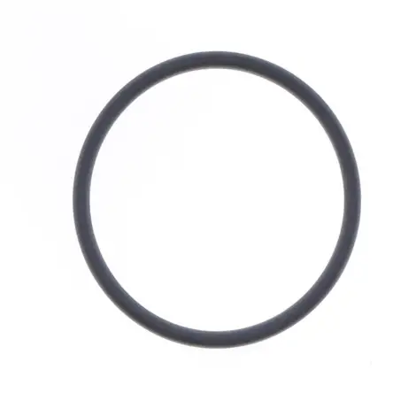 O-ring Scarico