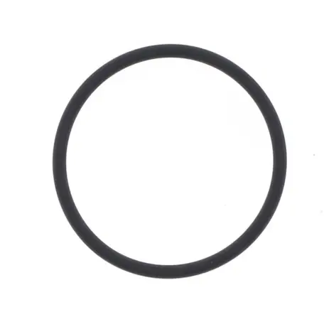 O-ring Scarico
