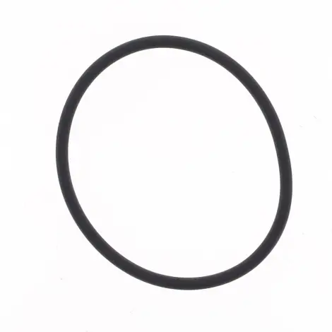 O-ring Scarico
