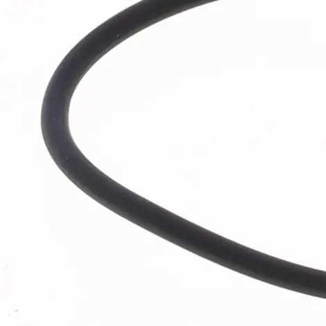 O-ring Scarico