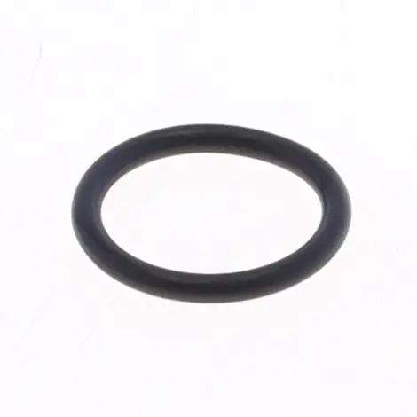 O-ring Scarico