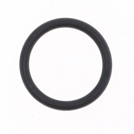 O-ring Scarico