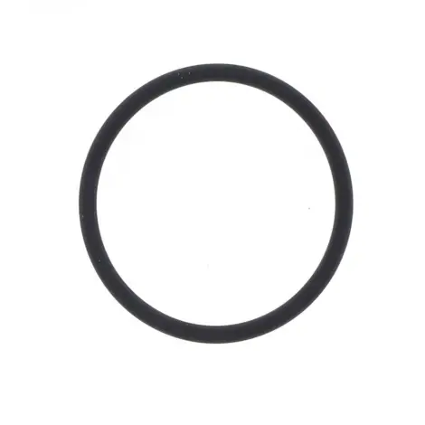O-ring Scarico