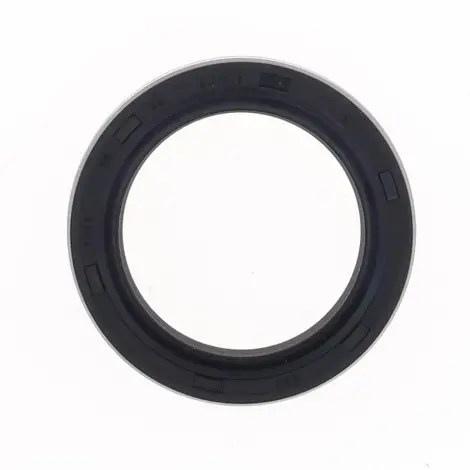 Paraolio forcella